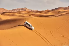 pegase-drive-21