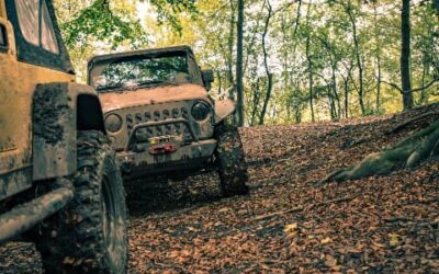 Découvrez la randonnée en véhicule tout-terrain dans les Vosges : une aventure inoubliable !