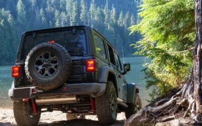 Randonnée en 4×4 en Alsace : une aventure authentique avec Pégase Drive