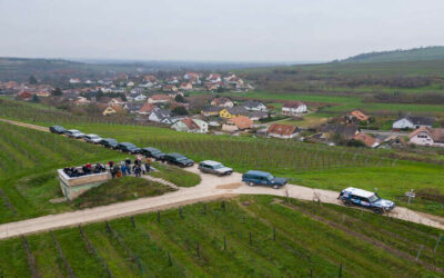 Road trip dans les Vosges : un voyage touristique