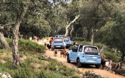 Séminaire en véhicule tout-terrain en Alsace : renforcer les liens au sein de votre équipe