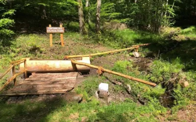 Balade en véhicule tout-terrain dans la Vallée de la Bruche : une sortie riche en découvertes