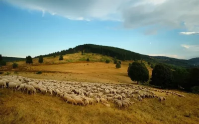 Activité de plein air dans la Vallée de la Bruche : un moment précieux